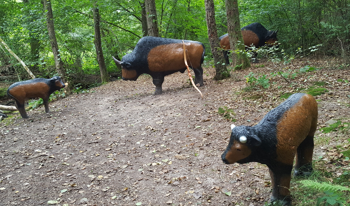 Colemen Traditionell intuitiv Bogenschießen, 3D Bogenparcours Collenberg