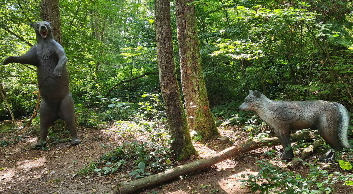 Colemen Traditionell intuitiv Bogenschießen, 3D Bogenparcours Collenberg